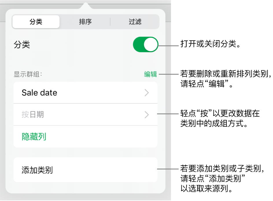 iPad 上的“类别”菜单带有以下选项：关闭类别、删除类别、重新成组数据、隐藏来源列和添加类别。