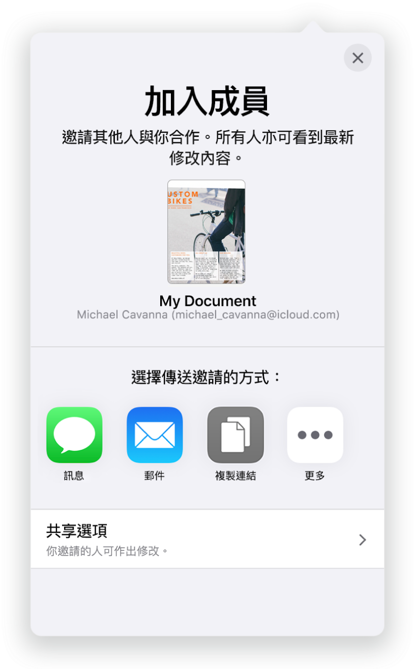 「加入成員」畫面顯示要共享試算表的圖片。其下方為傳送邀請的方式，包括「郵件」、「複製連結」等等。最下方是「分享選項」按鈕。