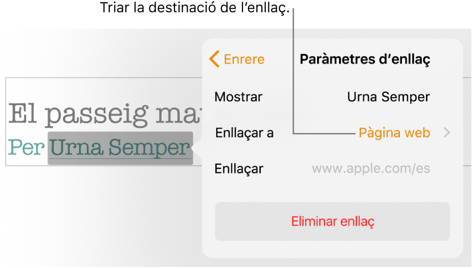 Els controls “Paràmetres d’enllaç” amb els camps Mostrar, “Enllaçar a” (definit com a pàgina web) i Enllaç. El botó “Eliminar enllaç” a la part inferior dels controls.