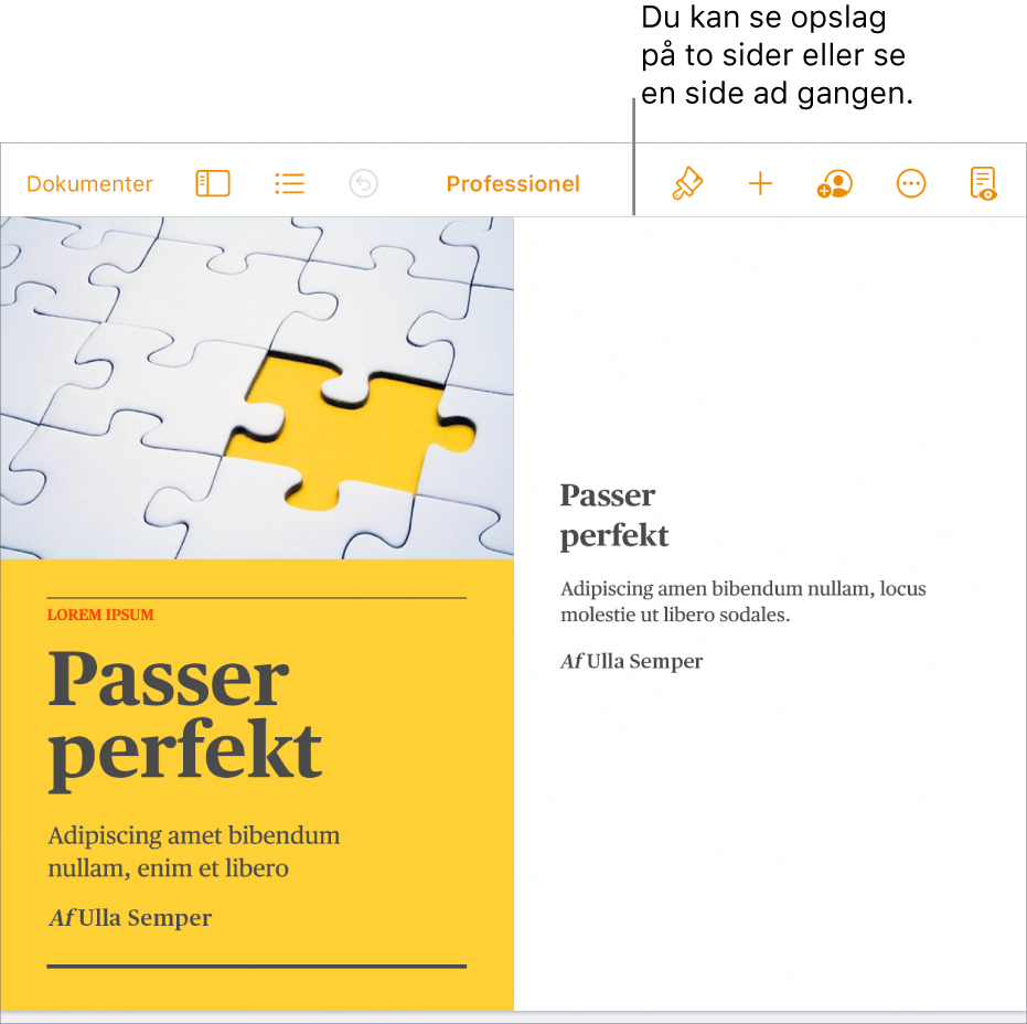 Et dokument med sider vist som opslag på to sider.
