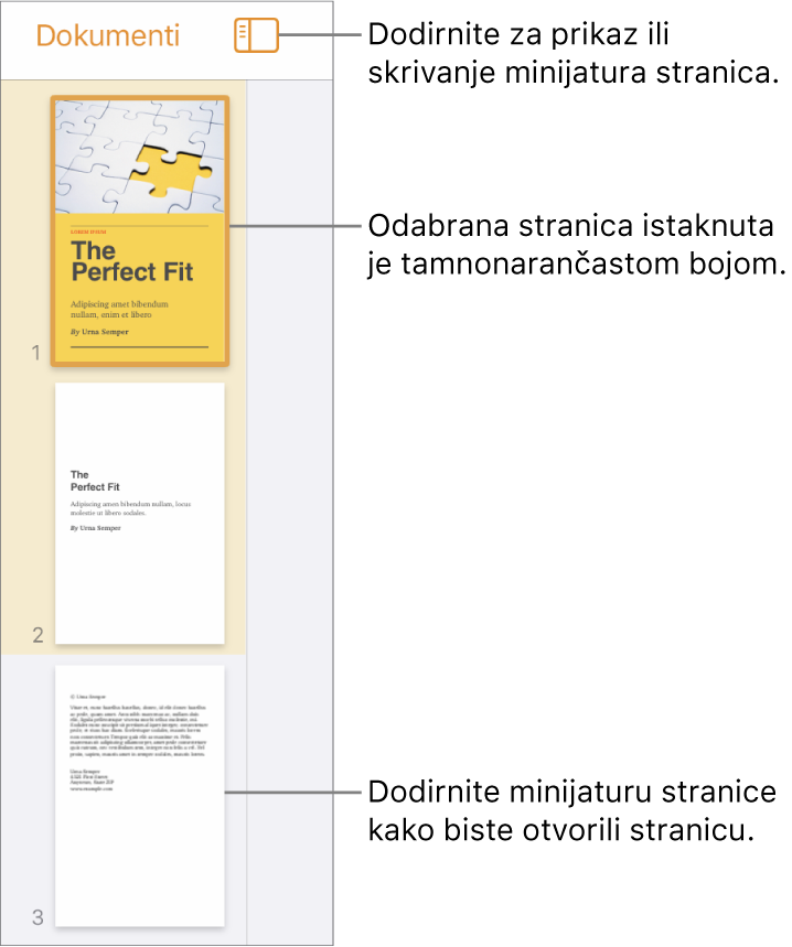 Prikaz minijatura stranica s lijeve strane zaslona s jednom odabranom stranicom. Tipka Opcije prikaza nalazi se iznad minijatura.