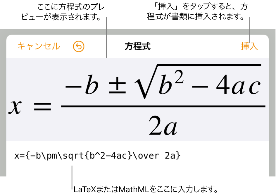 方程式編集ダイアログ。LaTeXコマンドを使用して書き込まれた二次方程式の解の公式が表示され、その上に公式のプレビューが表示されています。