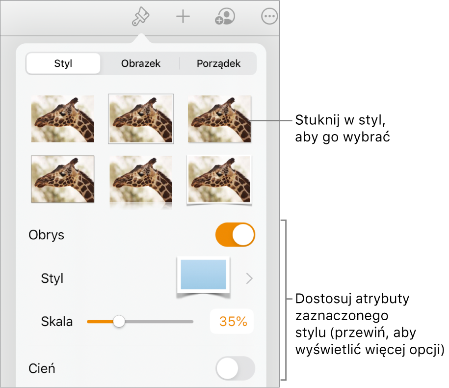 Karta Styl w menu Format, zawierająca na górze style obiektów, a poniżej narzędzia pozwalające na zmienianie obrysu, cienia, odbicia i krycia.