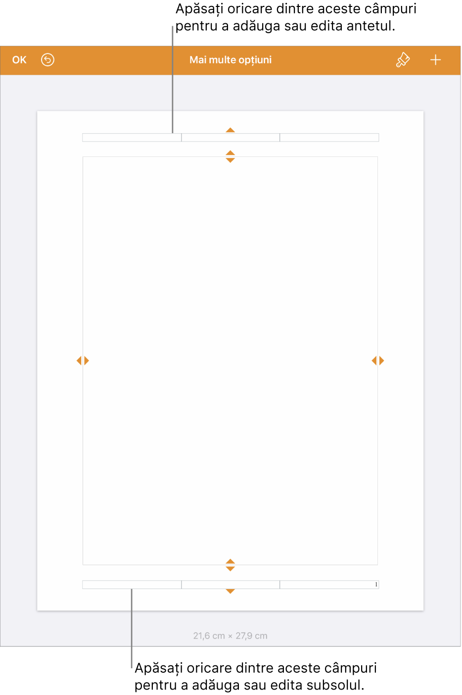 Vizualizarea Mai multe opțiuni, cu trei câmpuri pentru anteturi în partea de sus a documentului și trei câmpuri pentru subsoluri în partea de jos.