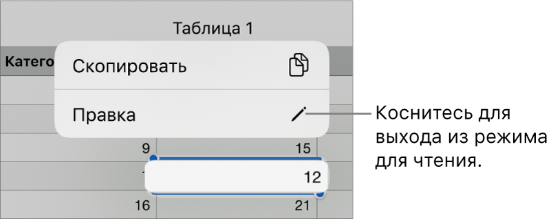 Выбрана ячейка таблицы; над ней отображается меню с кнопками «Скопировать» и «Правка».