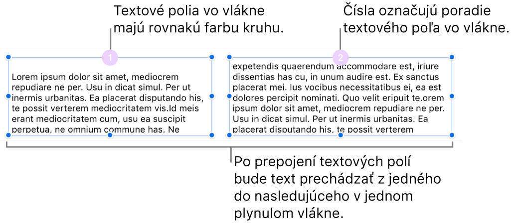 Dve textové polia s fialovými kruhmi v hornej časti a číslami 1 a 2 v kruhoch.
