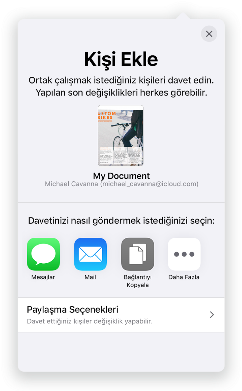 Kişi Ekle ekranı, paylaşılacak belgenin bir resmini gösteriyor. Onun altında Mail, Bağlantıyı Kopyala ve Diğer de dahil olmak üzere çeşitli davet gönderme yolları için düğmeler var. En altta Paylaşma Seçenekleri düğmesi bulunuyor.