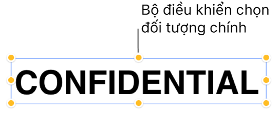 Đối tượng với các bộ điều khiển chọn.