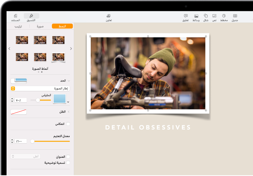 أدوات التحكم في التنسيق لتغيير حجم ومظهر الصورة المحددة. أزرار النمط وصورة وترتيب موجودة على طول الجزء العلوي من أدوات التحكم.
