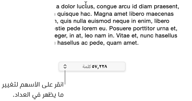 قائمة عدد الكلمات وتعرض عدد الكلمات الموجودة في المستند.