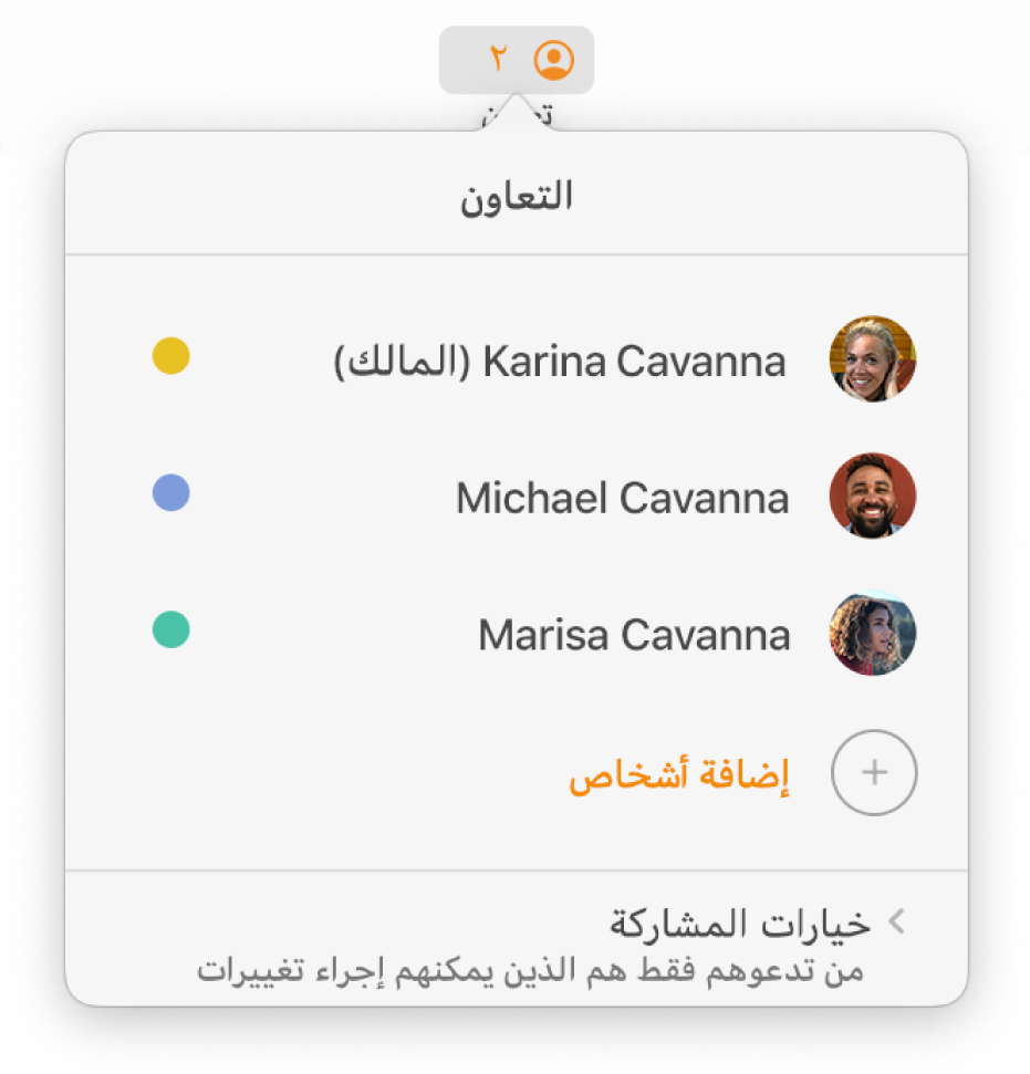 قائمة التعاون تعرض أسماء الأشخاص المتعاونين في المستند. تتوفر خيارات المشاركة تحت الأسماء.