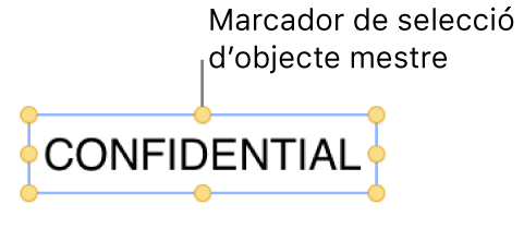 Un objecte amb marcadors de selecció.