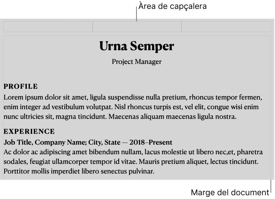 Vista Disposició amb la zona de capçalera i els marges del document.