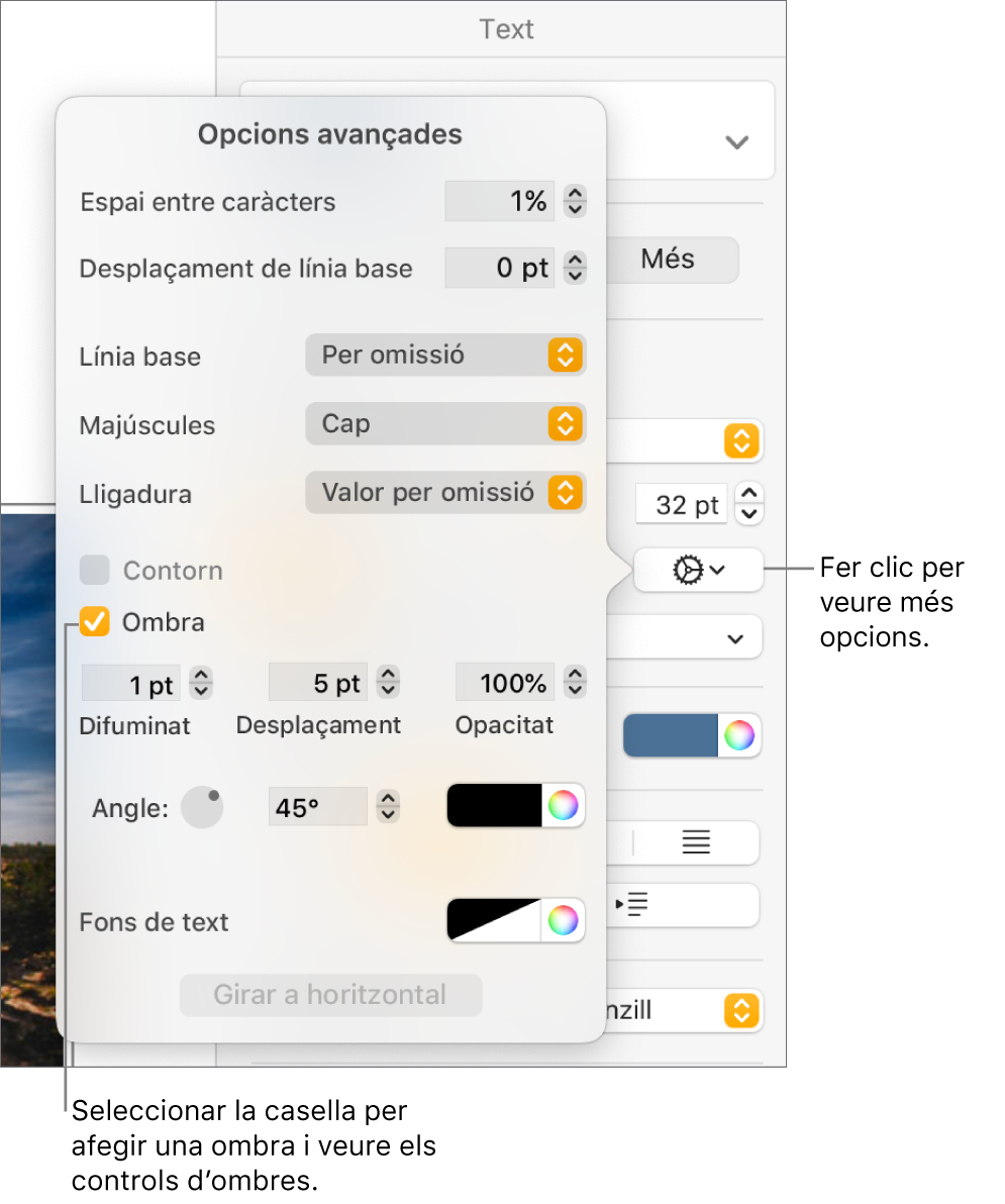 Menú d’opcions avançades obert amb la casella Ombres seleccionada i els controls per definir el difuminat, el desplaçament, l’opacitat, l’angle i el color.