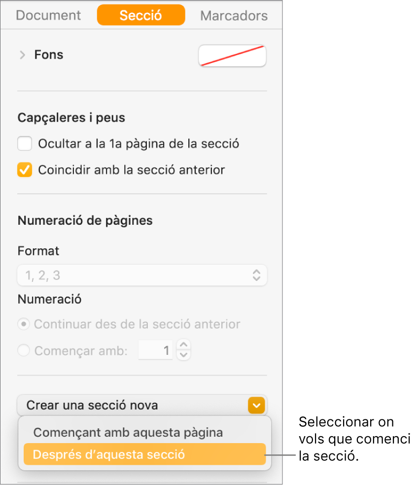 La barra lateral Document amb la pestanya Secció seleccionada. A prop de la part inferior de la barra lateral hi ha el menú emergent “La secció comença a” i el menú “Crear una secció nova”.
