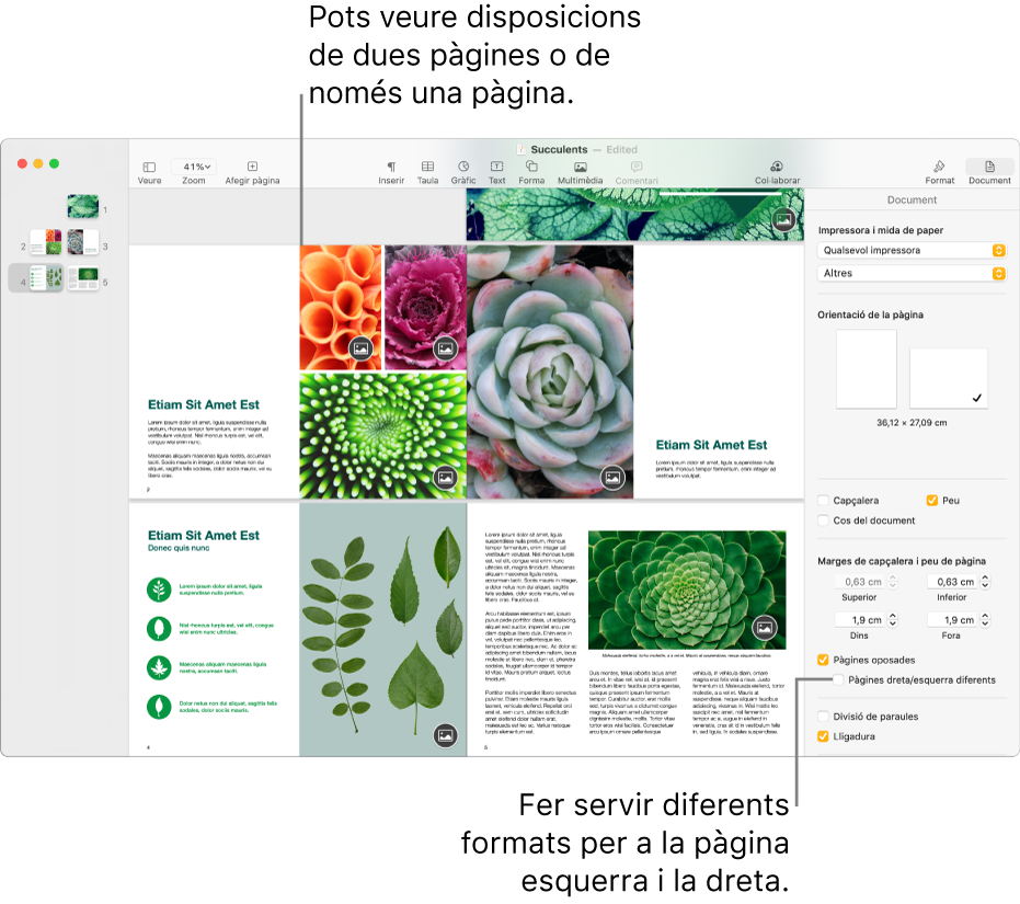 La finestra del Pages amb miniatures de pàgina i una visualització del document consistent en una disposició de dues pàgines. A la barra lateral Document de la dreta, hi ha la casella de selecció “Pàgines dreta/esquerra diferents” desmarcada.