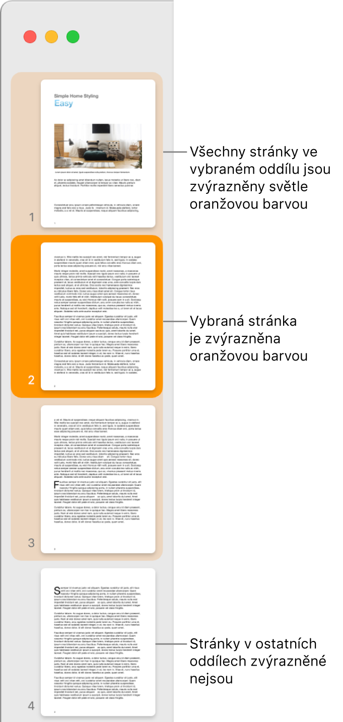 Boční panel Zobrazení miniatur s vybranou stránkou zvýrazněnou tmavě oranžovou barvou. Všechny stránky ve vybraném oddílu jsou zvýrazněné světle oranžovou barvou