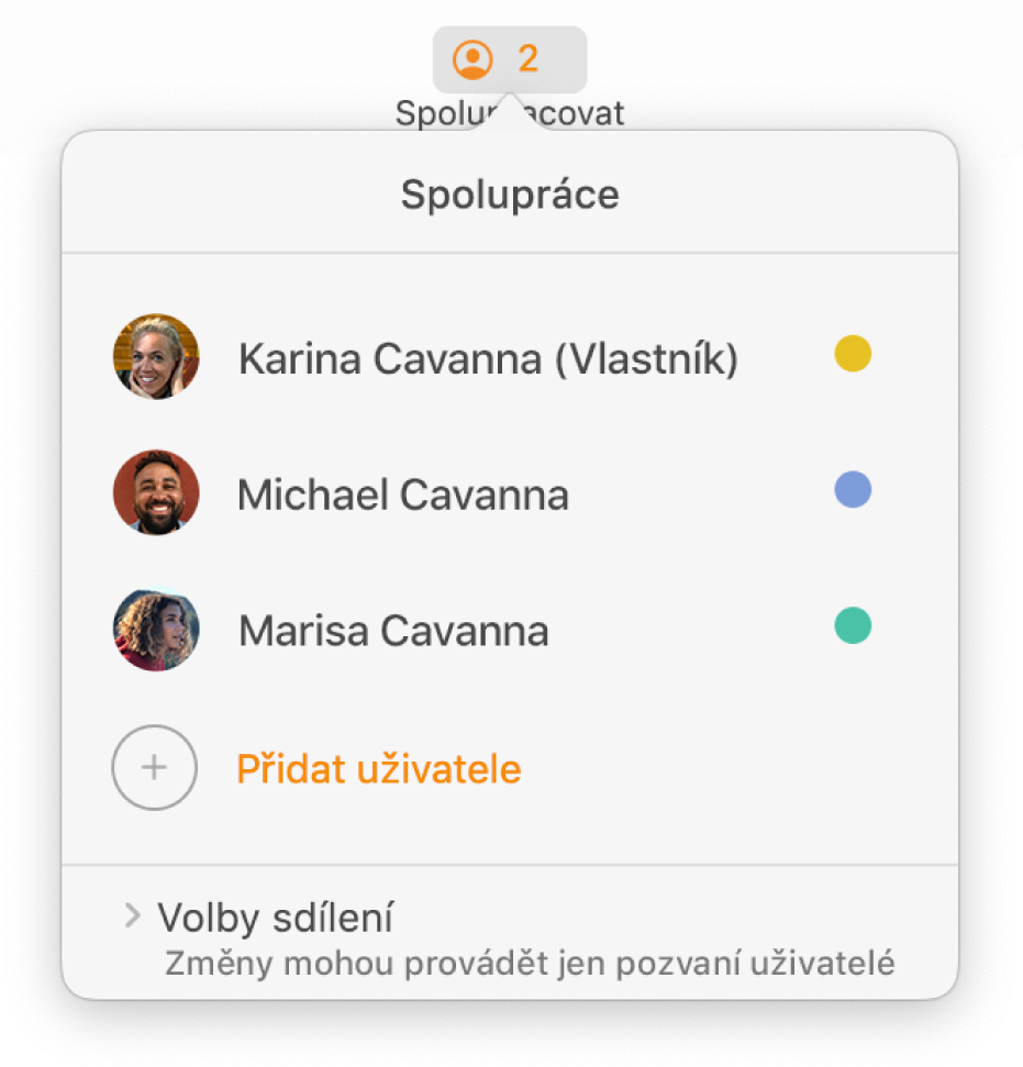 Nabídka Spolupráce se zobrazenými jmény uživatelů, kteří na dokumentu spolupracují; pod jmény se zobrazují volby sdílení