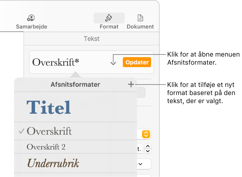 Menuen Afsnitsformater med betjeningsmuligheder til tilføjelse eller ændring af et format.