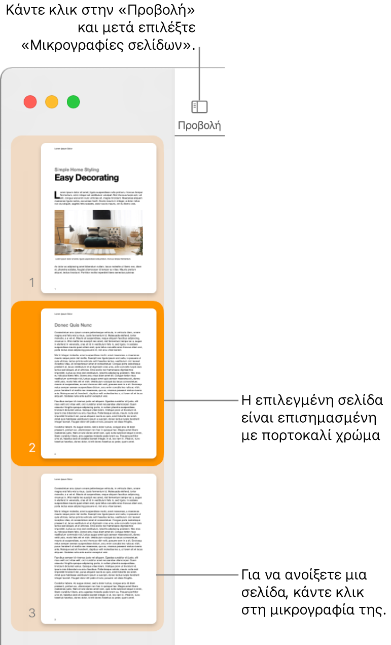 Η πλαϊνή στήλη στην αριστερή πλευρά του παραθύρου Pages με την προβολή μικρογραφιών σελίδων ανοιχτή και μια επιλεγμένη σελίδα επισημασμένη με σκούρο πορτοκαλί.