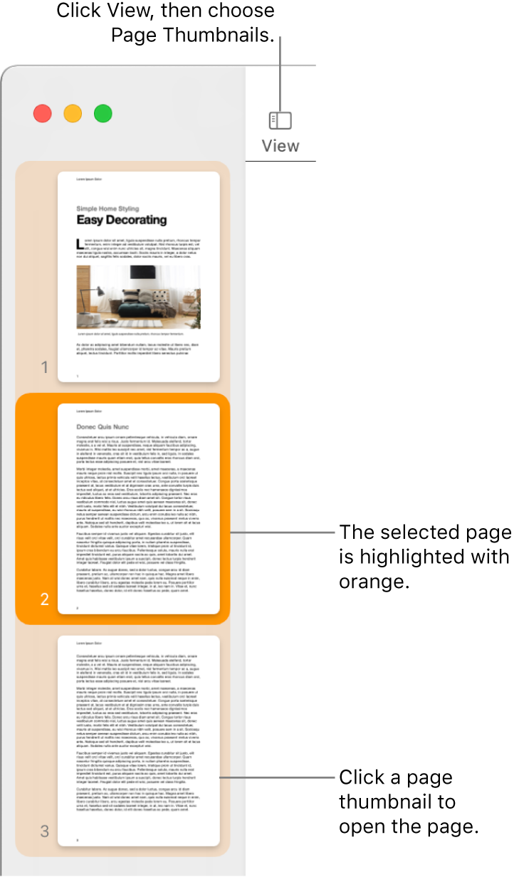The sidebar on the left side of the Pages window with Page Thumbnails view open and a selected page highlighted in dark orange.