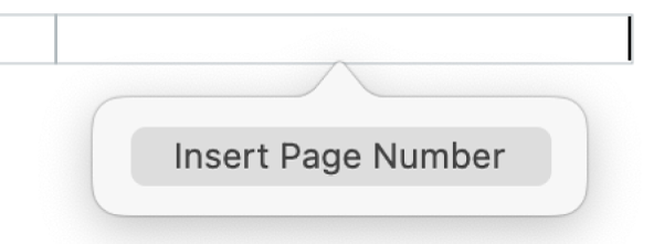 The Insert Page Number button below the header.