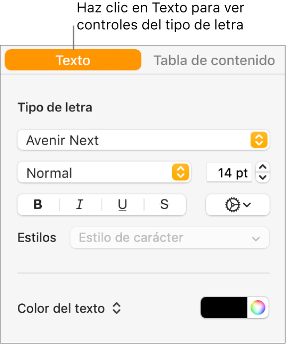 La barra lateral Formato con la pestaña Texto seleccionada y controles para cambiar el tipo de letra, el tamaño del texto o el estilo de los caracteres.