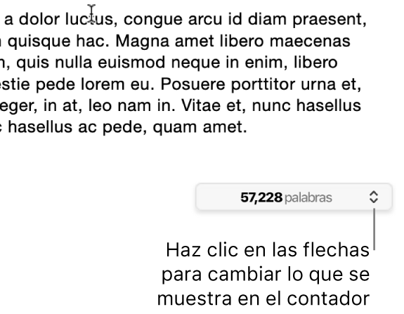 El menú de conteo de palabras con el número de palabras del documento.