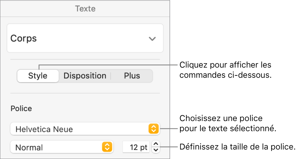 Commande de texte de la section Style de la barre latérale Format, permettant de configurer la police et la taille des caractères.