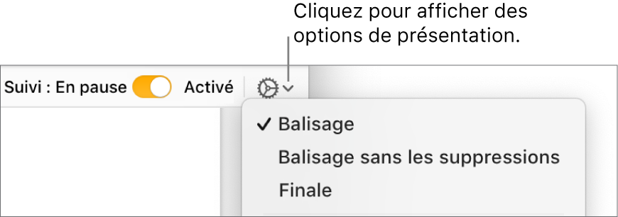 Le menu des options de révision, avec les options Marquage, Marquage sans afficher les suppr. et Version finale.