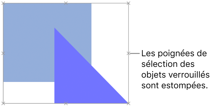 Des objets verrouillés présentant des poignées de sélection estompées.