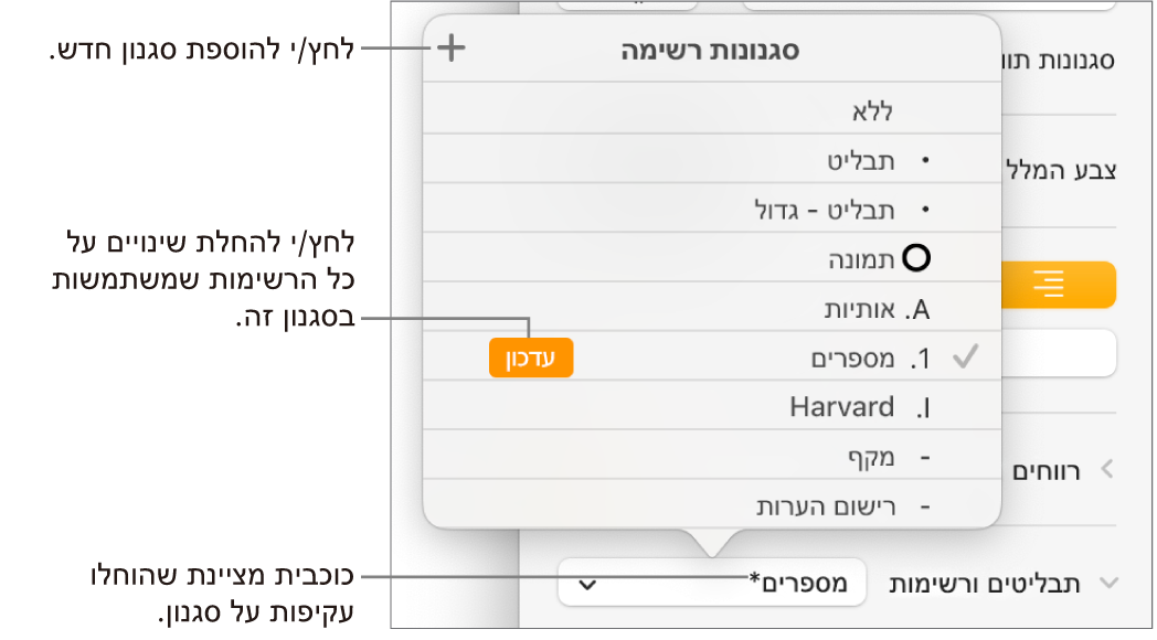 התפריט הקופצני ״סגנונות רשימה״ עם כוכבית המציינת החלפה, הסבר לכפתור ״סגנון חדש״ ותפריט משנה עם אפשרויות לניהול סגנונות.