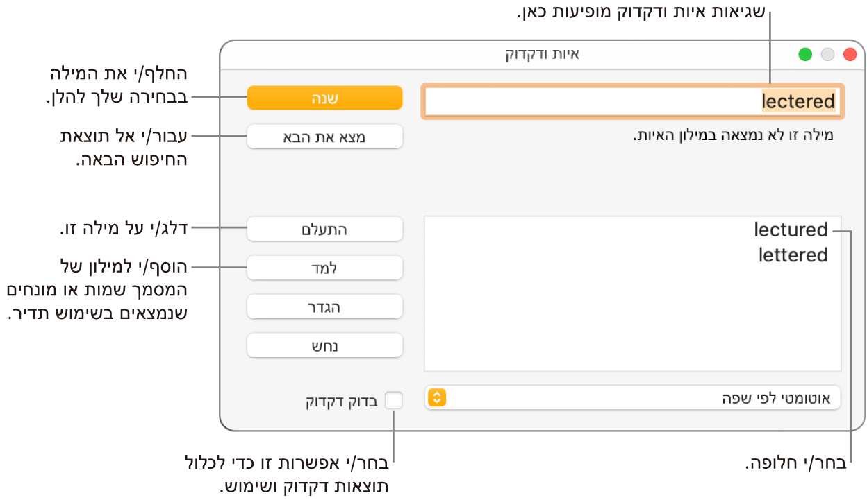 החלון ״איות ודקדוק״.