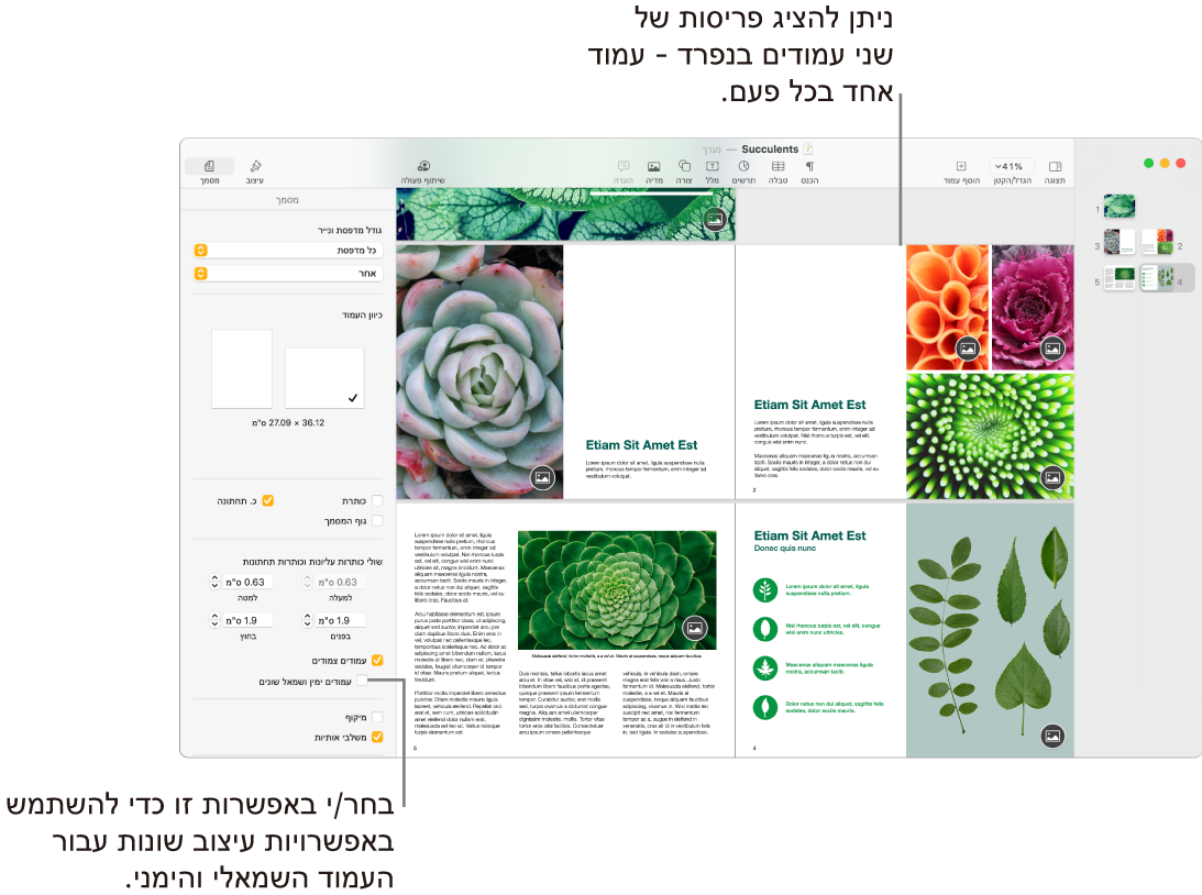 החלון של Pages עם תמונות ממוזערות של עמודים ועמודי מסמך שמוצגים בפריסה של שני עמודים. בסרגל הצד ״מסמך״ בצד שמאל, תיבת הסימון ״עמודים ימין ושמאל שונים״ לא מסומנת.