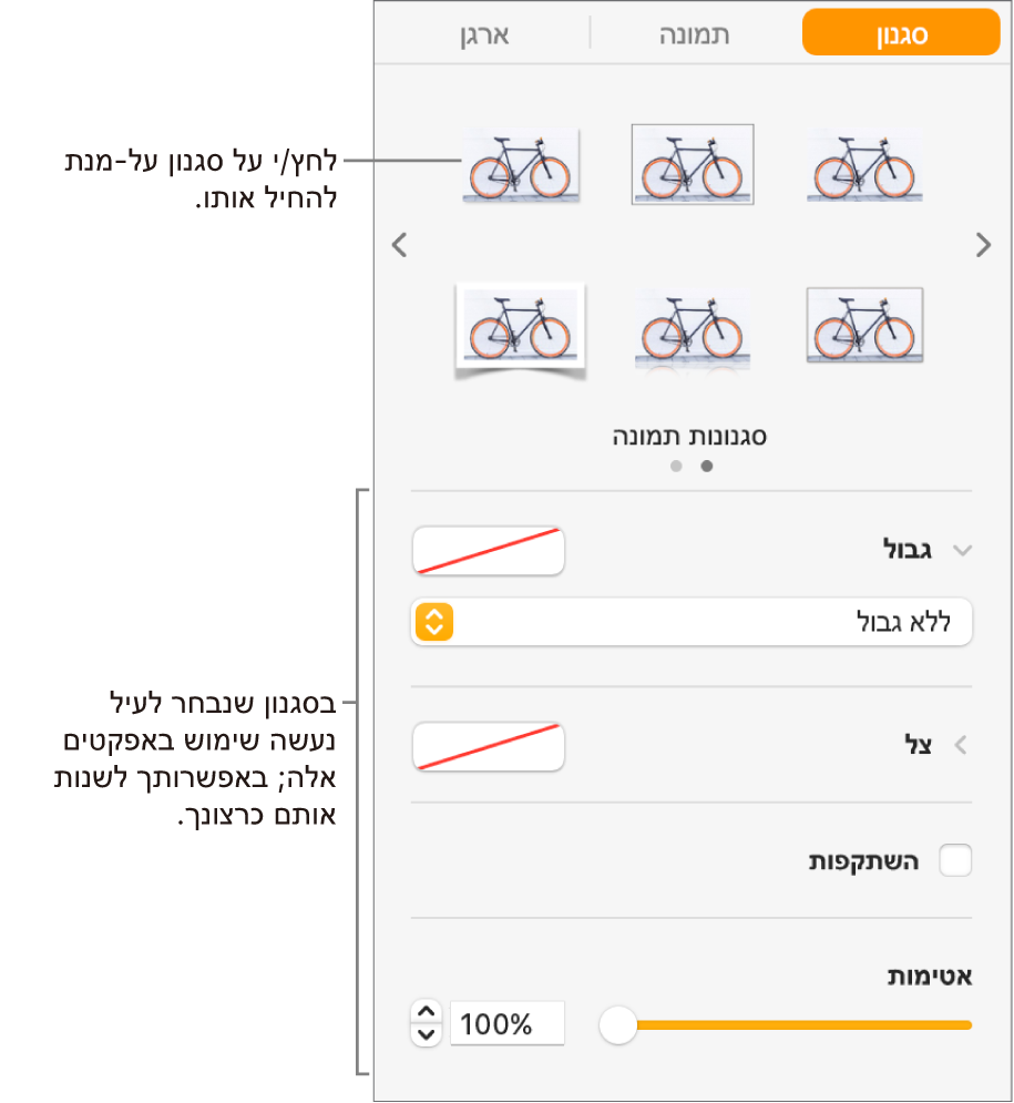 הכרטיסייה ״סגנון״ בסרגל הצד ״עיצוב״ מציגה אפשרויות עבור סגנונות אובייקטים.