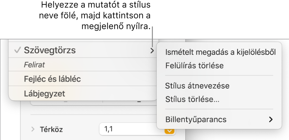 A Bekezdésstílusok menü a megnyitott helyi menüvel.