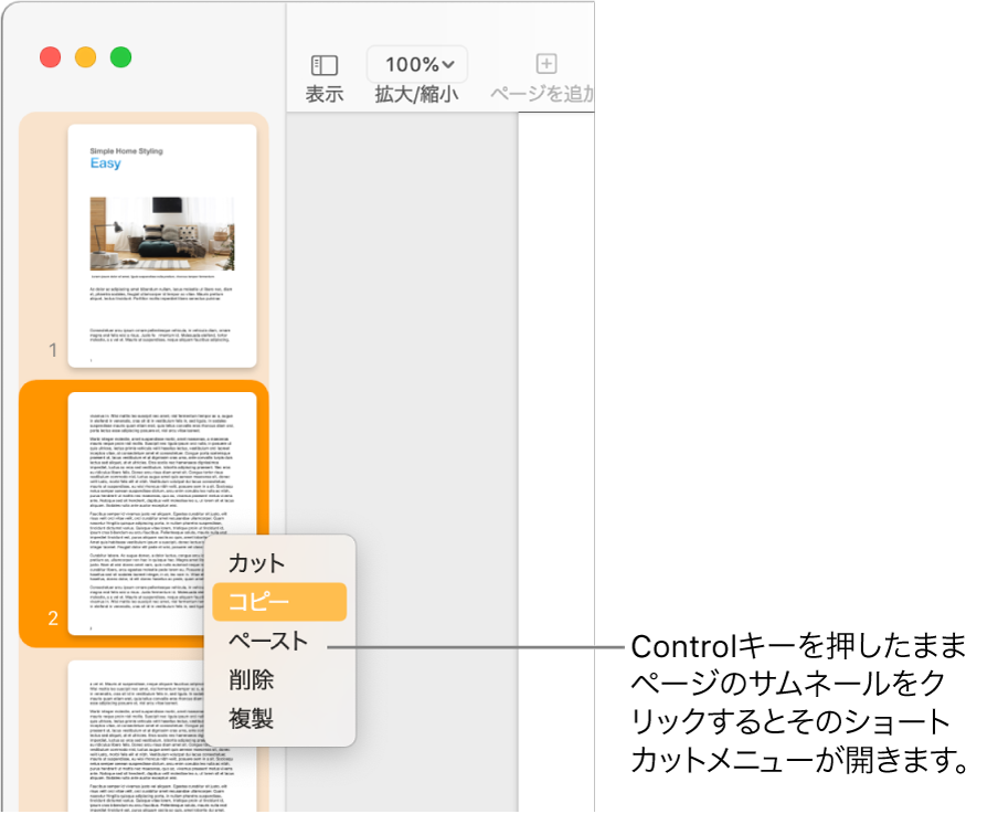 ページのサムネール表示。1つのサムネールが選択されていて、ショートカットメニューが開いている状態。