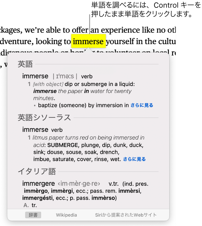 段落内で強調表示された単語とその定義およびシソーラスエントリーが表示されたウインドウ。ウインドウの下部にあるボタンは、辞書、Wikipedia、およびSiriから提案されたWebサイトへのリンクになっています。