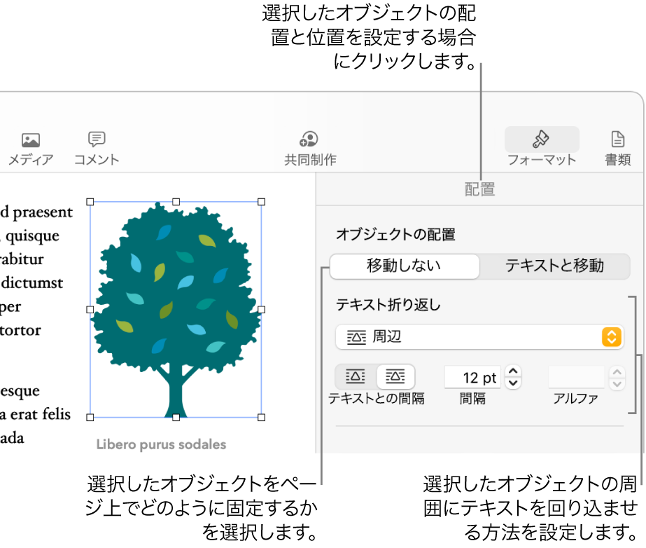 Macのpagesでオブジェクトをテキストと共に配置する Apple サポート