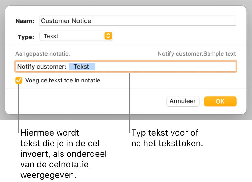 Het venster voor aangepaste celnotatie met regelaars voor het kiezen van aangepaste tekstnotatie.