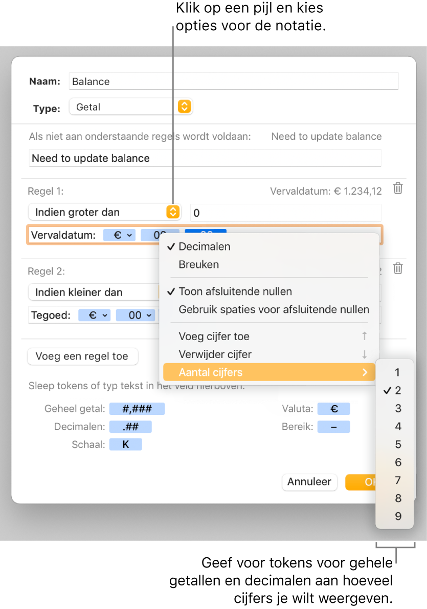 Het venster voor aangepaste celnotatie met regelaars voor aangepaste notatie-opties.