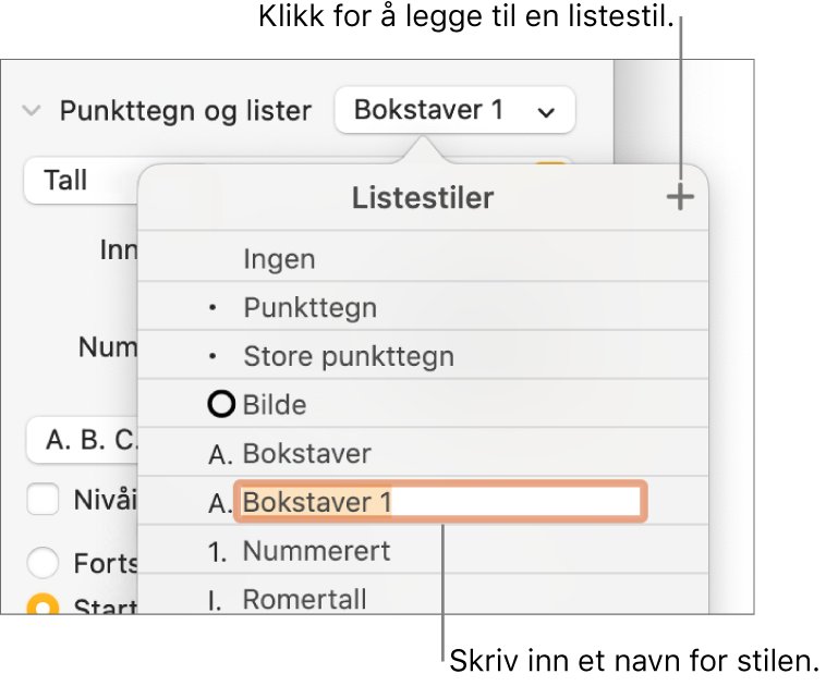 Listestiler-lokalmenyen med en Legg til-knapp øverst i høyre hjørne og et plassholderstilnavn med teksten markert.