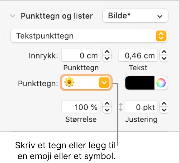 Punkttegn og lister-delen i Format-sidepanelet. Punkttegn-feltet viser en blomsteremoji.