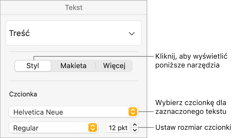 Narzędzia tekstu w sekcji Styl na pasku bocznym Format, pozwalające na ustawianie czcionki i jej wielkości.