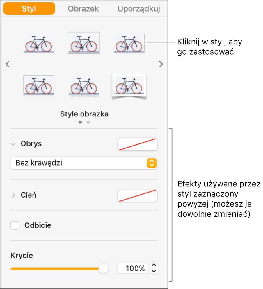 Karta Styl na pasku bocznym Format, zawierająca opcje stylu obiektu.