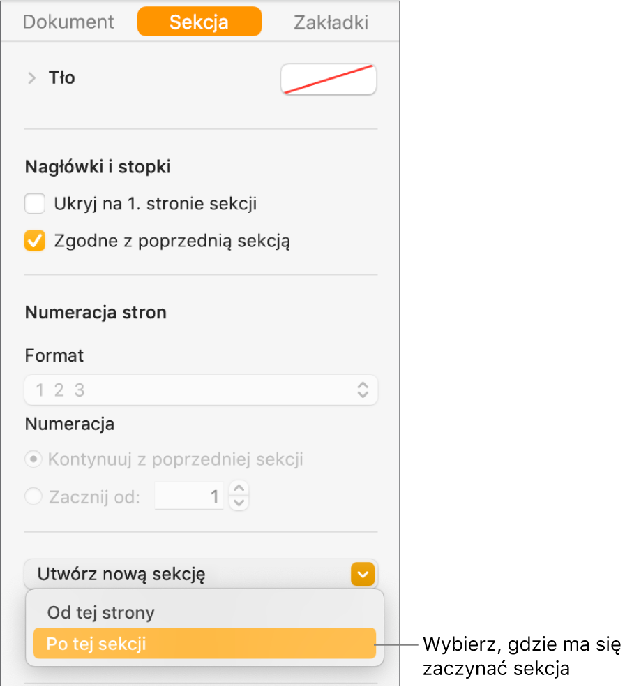 Pasek boczny Dokument z zaznaczoną kartą Sekcja. Na dole paska bocznego widoczne jest menu podręczne Początek sekcji oraz menu podręczne Utwórz nową sekcję.