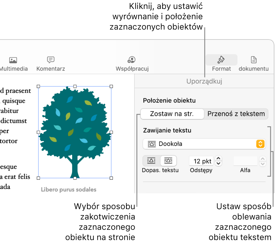 Pokazane jest menu Format z paskiem bocznym Uporządkuj. Ustawienia położenia obiektu na górze paska bocznego Uporządkuj, a poniżej ustawienia zawijania tekstu.