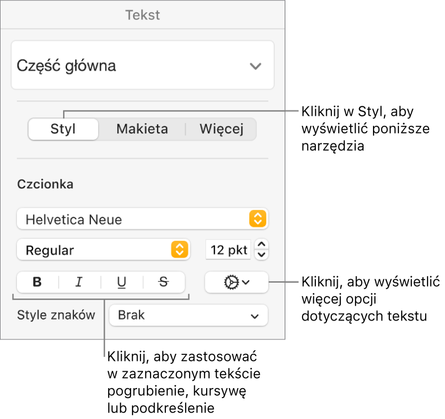 Narzędzia stylu na pasku bocznym Format z objaśnieniami wskazującymi przyciski: Pogrubienie, Kursywa, Podkreślenie oraz Przekreślenie.