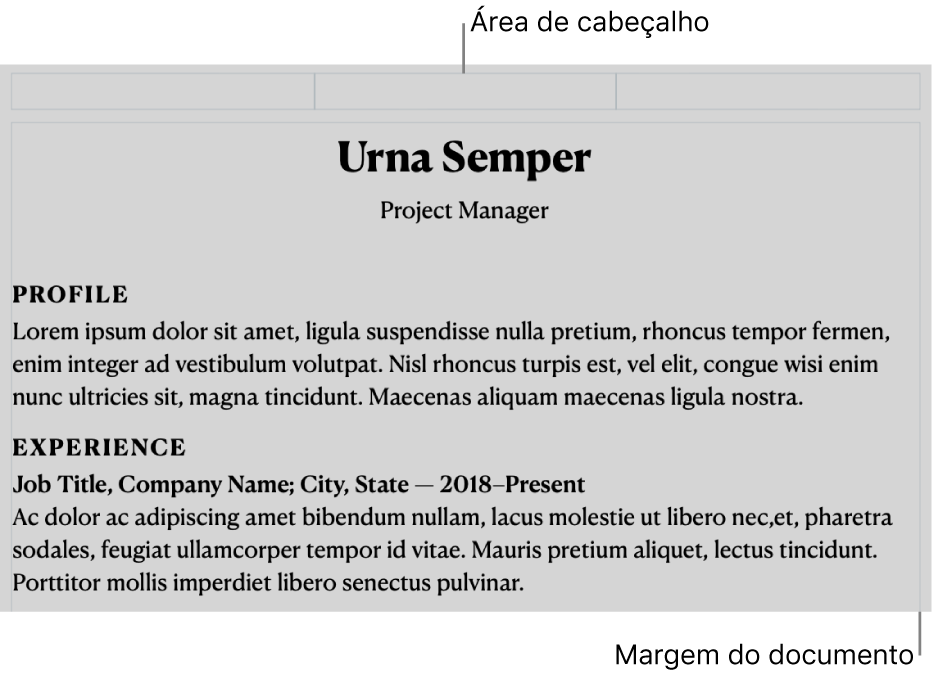 Visualização de Layout exibindo a área de cabeçalho e margens do documento.