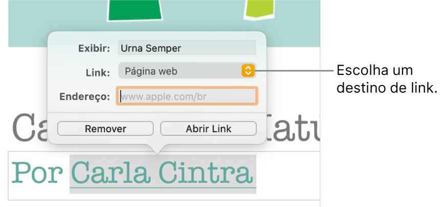 Controles de “Ajustes do Link” com o campo Exibir, Link (definido como Página web) e o campo Link. O botão Remover e o botão Abrir Link estão na parte inferior dos controles.